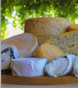 Milawa Gourmet Region Gourmet Cheeses Milawa Cheese Company
