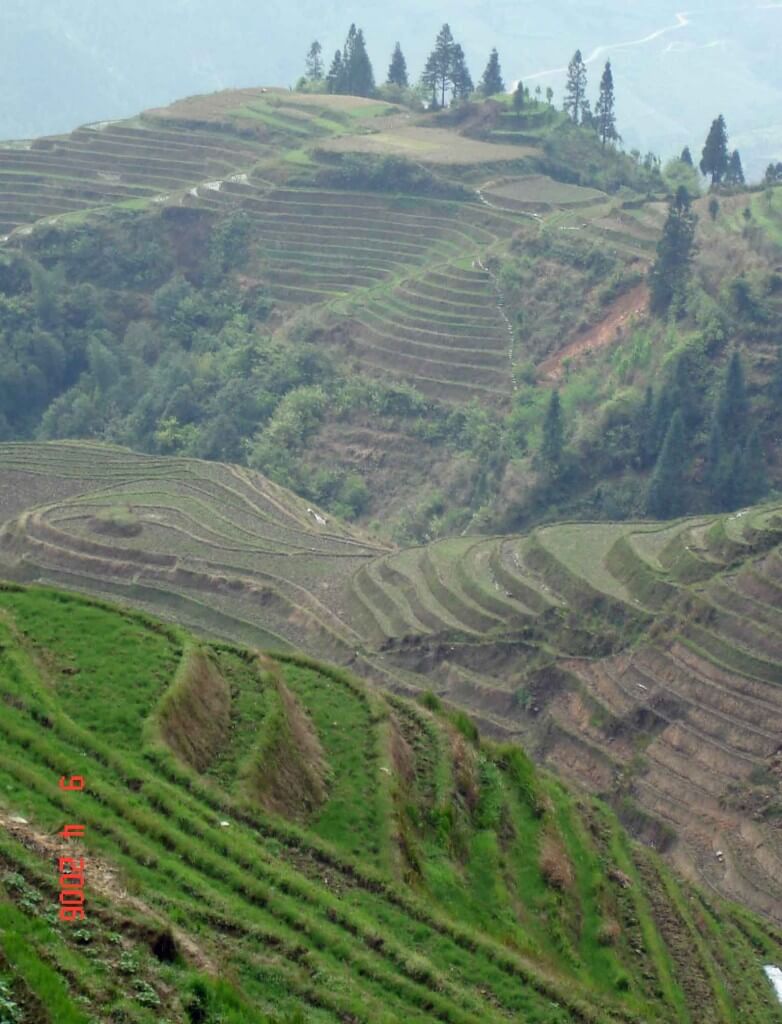 Dragons-Backbone-Rice-Terraces Longsheng China