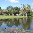 Anderson Park Townsville City |Tropical Townsville Australia