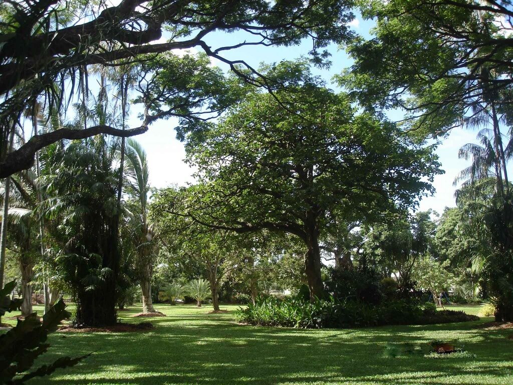 Queens-Gardens lush green lawns palms and shady trees tropical Townsville