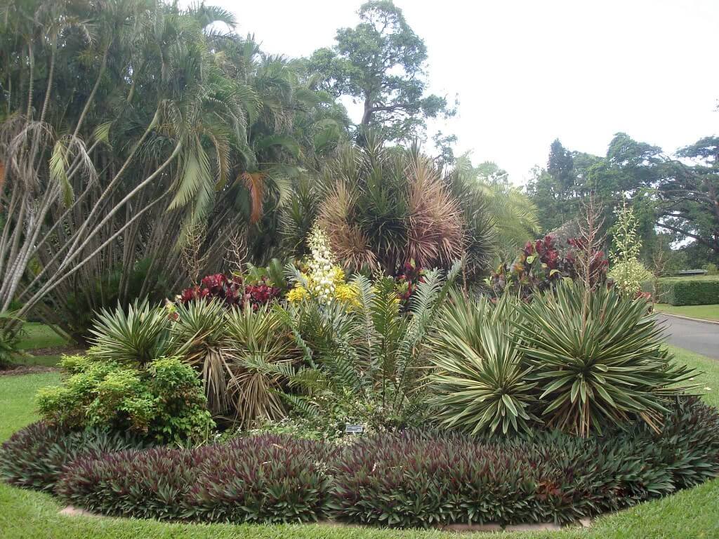 Queens-Garden-tropical flower bed in Townsville Tropical Queensland 