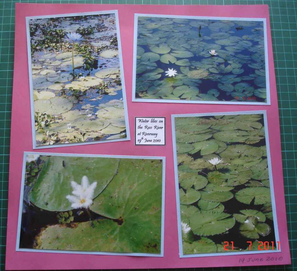 Scrapbooking-designs and layouts water lilies Ross River, Riverway, Townsville City