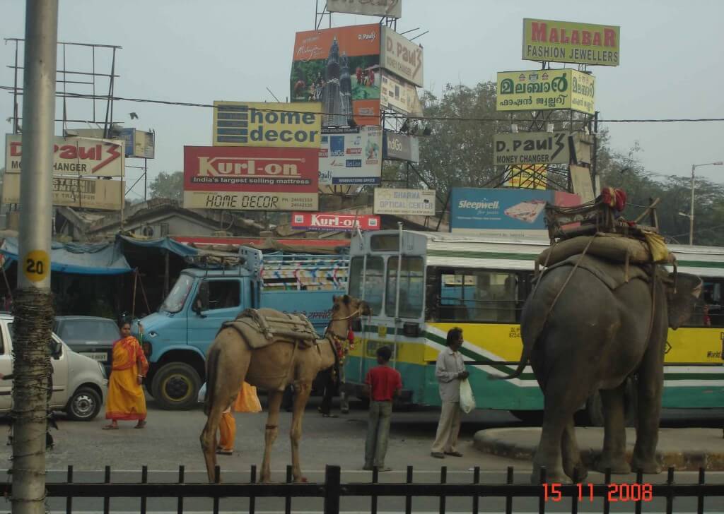 Elephants and camels merge with the busy traffic- incredible India