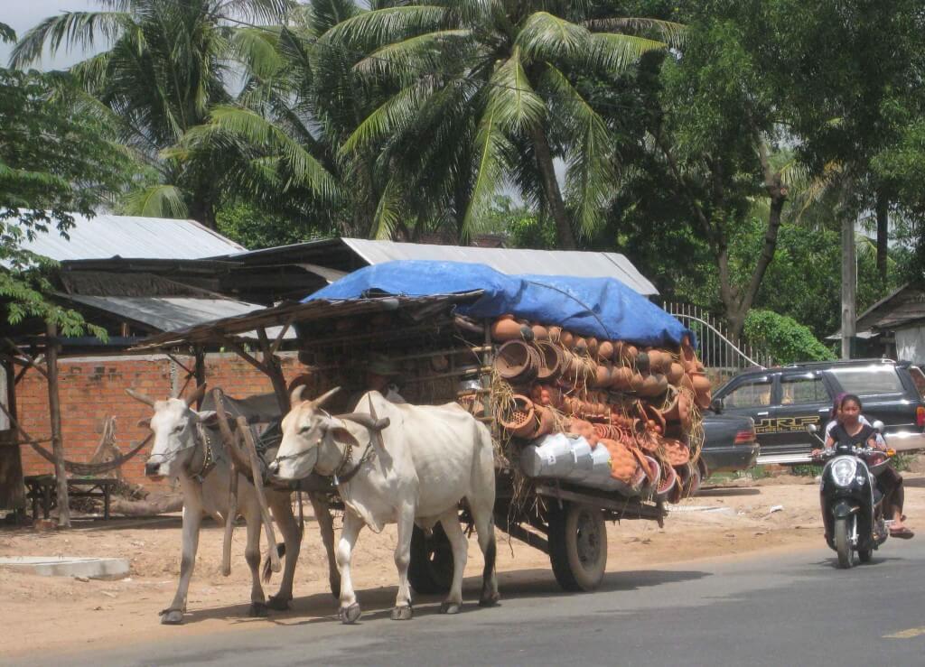 Traditional hand made pottery carried to market by oxen cart Cambodia Siem Reap 