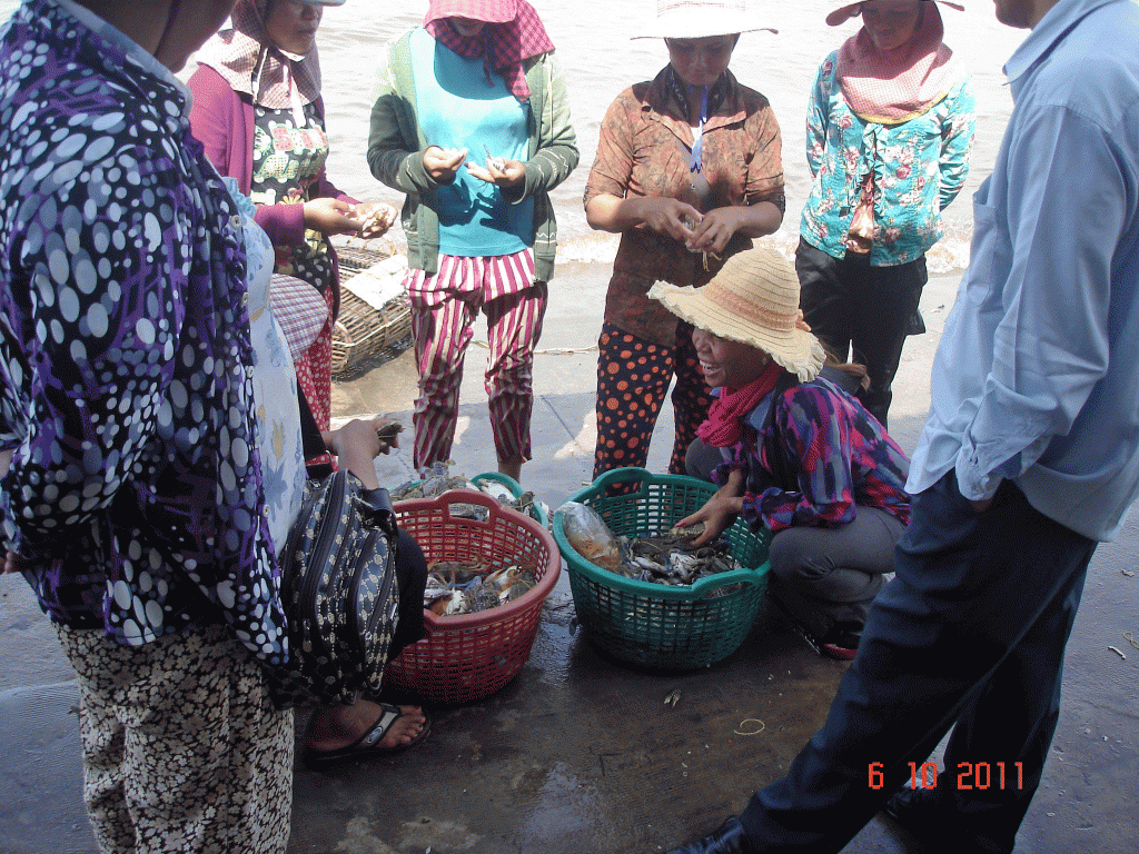 Crab Market - women of Kep working together in harmony,Tropical Fridays