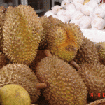 Durian-a tropical Fruit