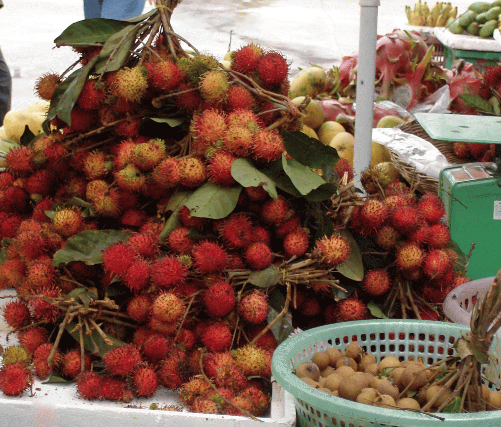 Rambutans and druian tropical fruit