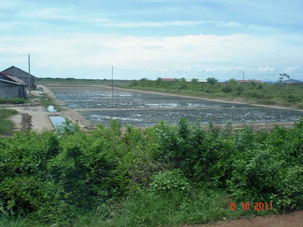 Kep-Kampot Salt Fields.Both salt and pepper are produced in the Kampot Province