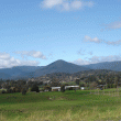 Yarra Valley – Vines – Grape Vines – National Park