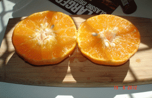 Mandarin's freshly picked,sweet & juicyJ