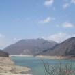 450 year old Cherry Blossom Trees | Scenic Miboro Dam Takayama