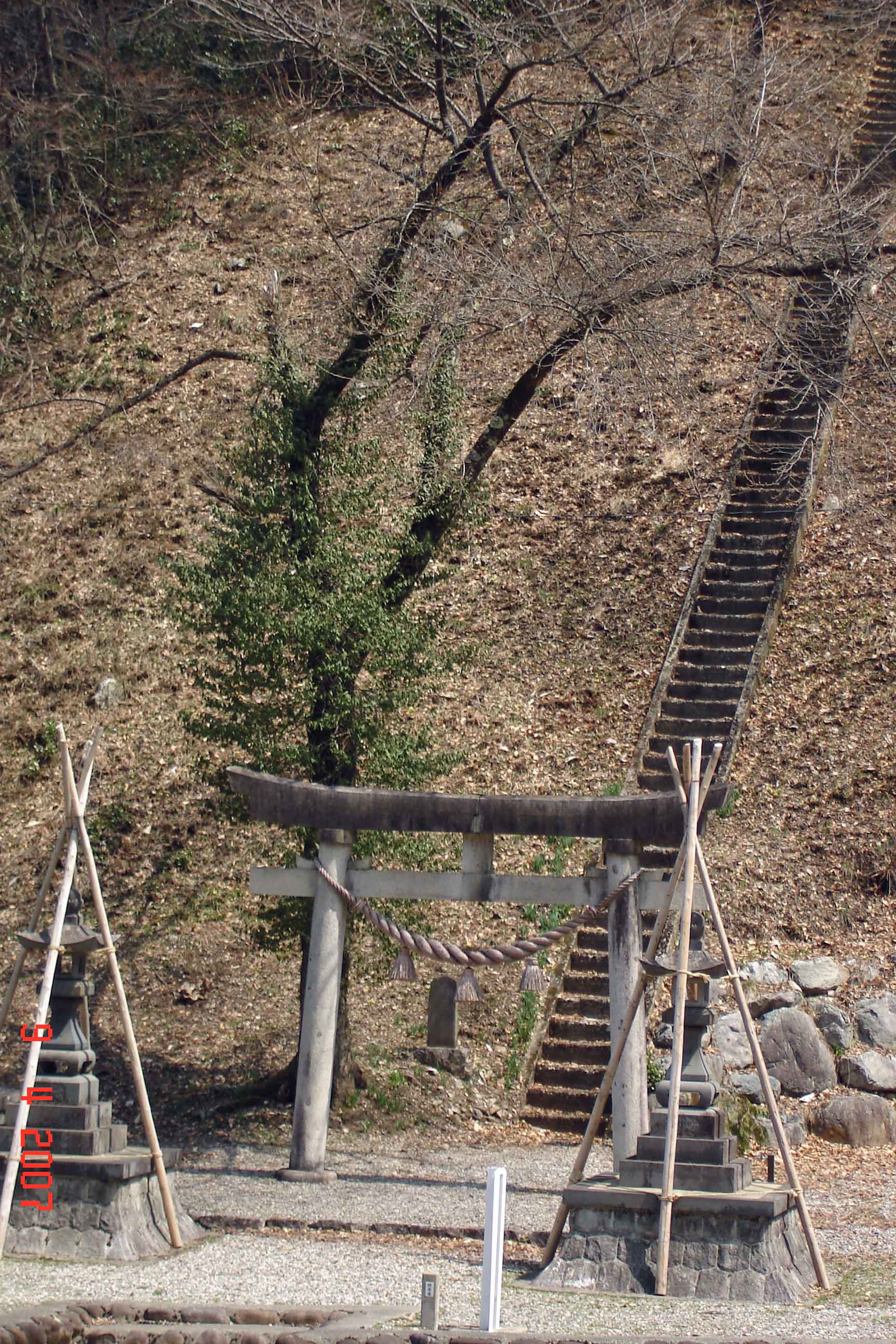 Toyama Farmhouse-Torii-Gate-steps to hill-top shrine