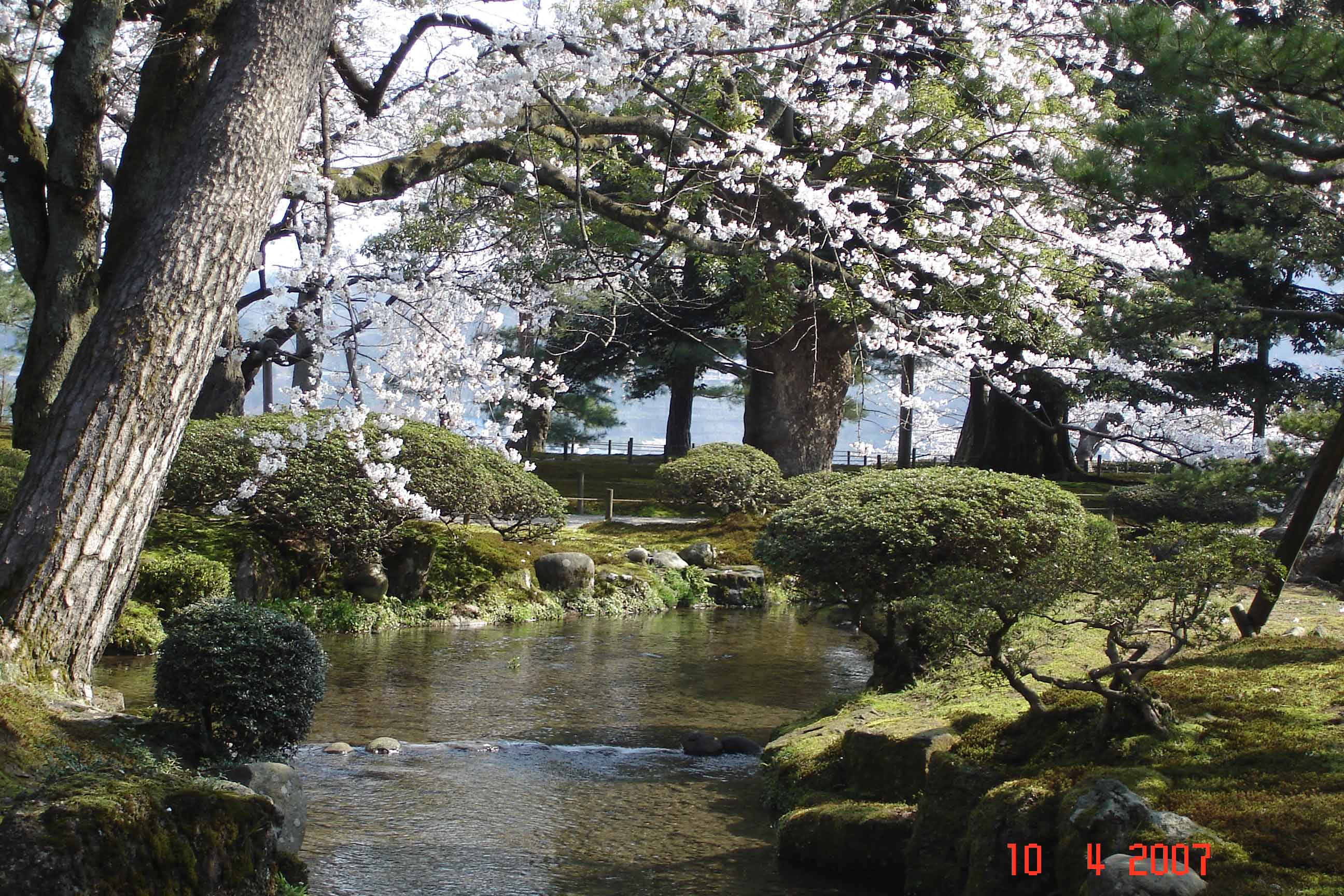 Kenroku-en Pond views and cherry blossoms