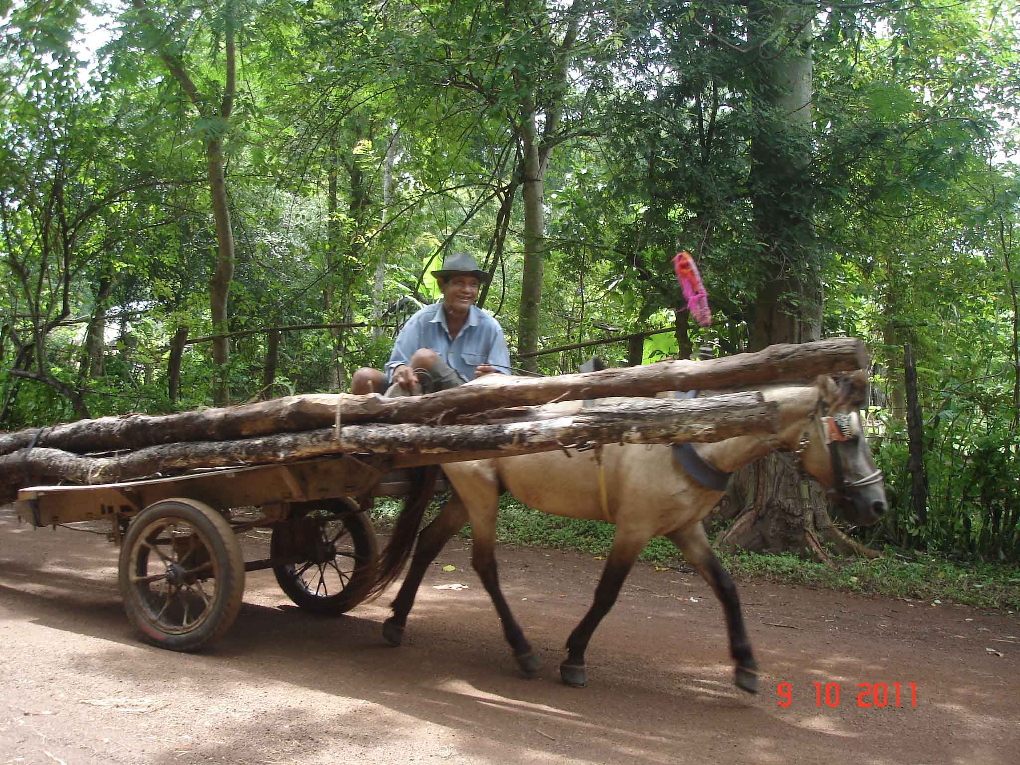 Khmer-Horse-and-logs