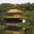 Golden Pavilion – Kinkaku-ju – Kyoto