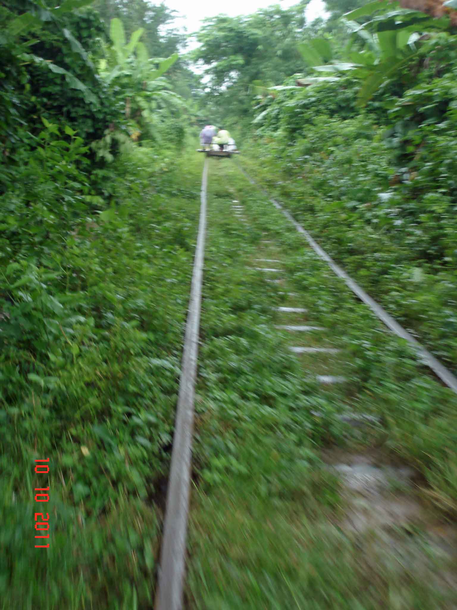 Fast and furious, a ride on a Norry or bamboo train,outside Battambang