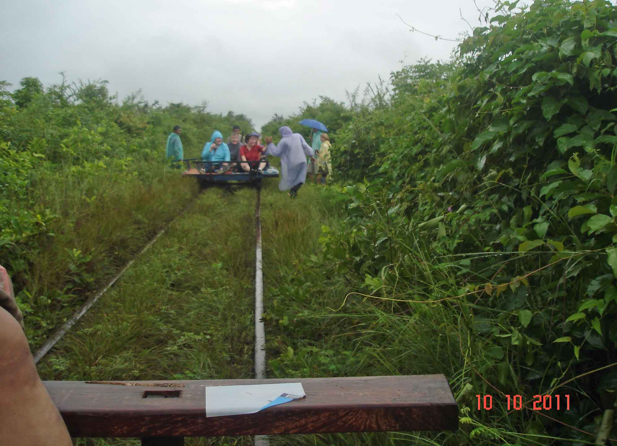 What now, another Norry? In the jungle, in the rain-adventure on a bamboo train!