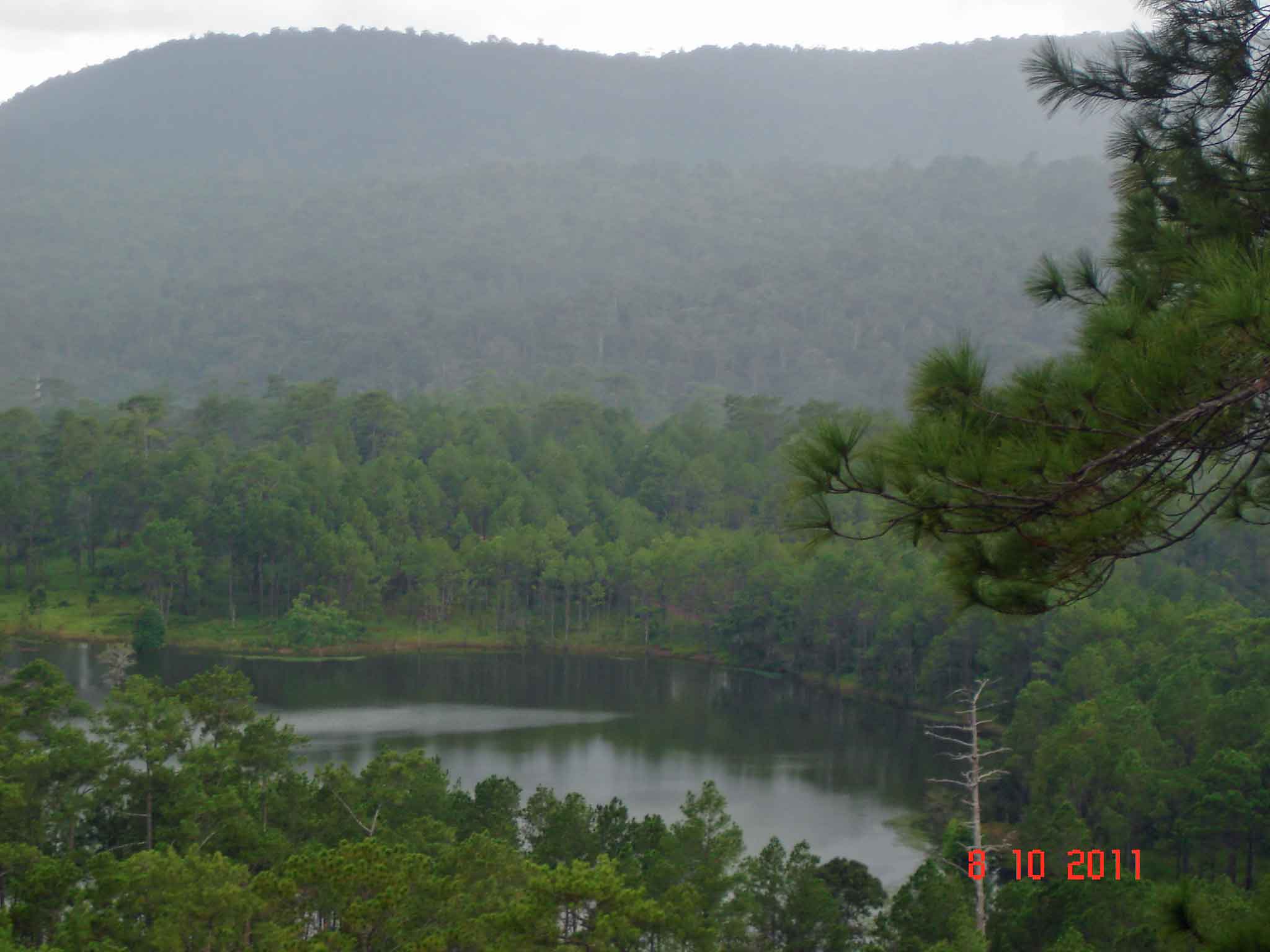Kirirom National Park-Mountains,Lakes and verdent green Pine Forest