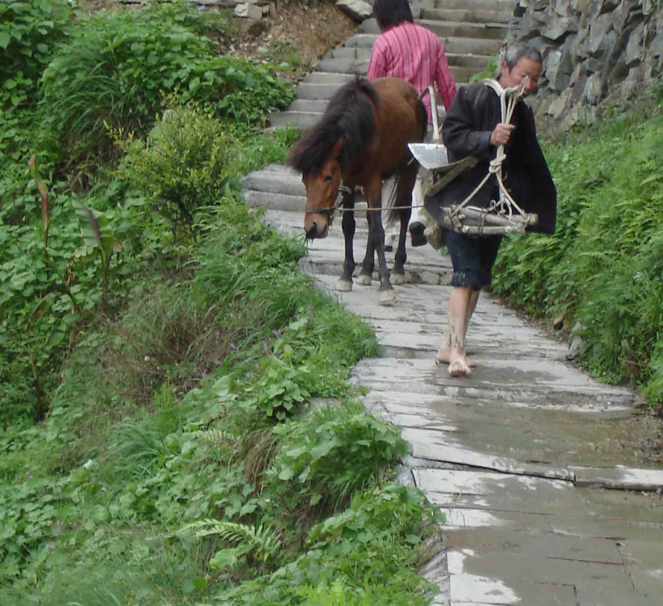 Villager leading horse and carrying hoeing implement