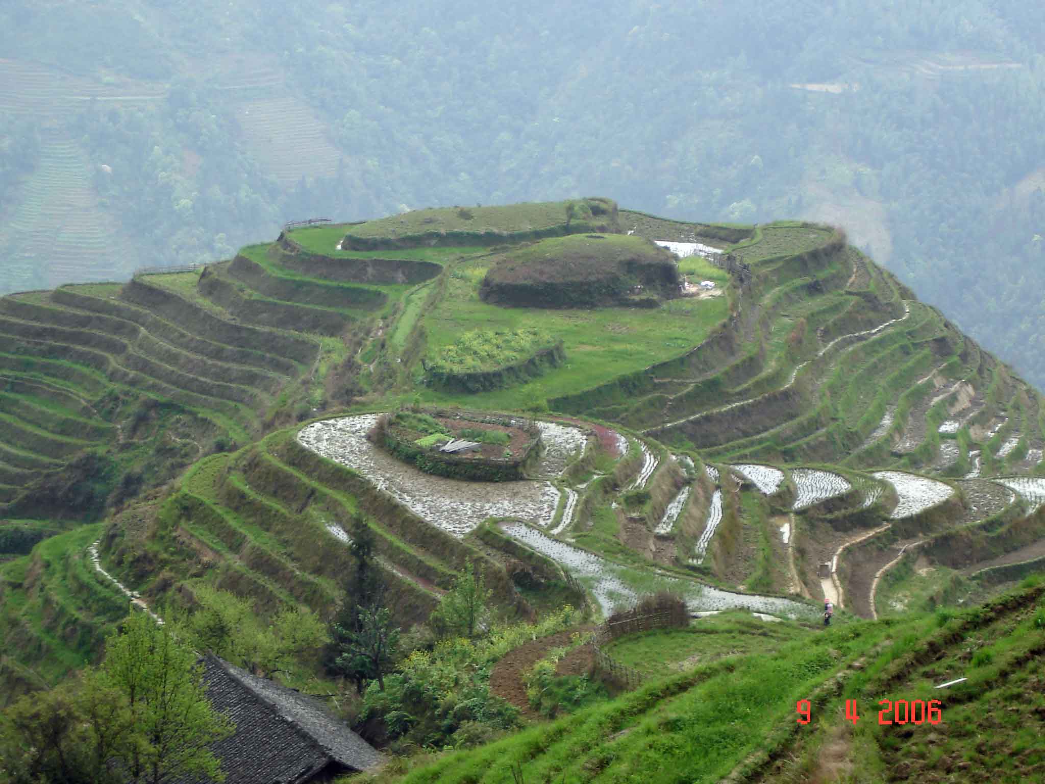 Table-top-rice-terrace