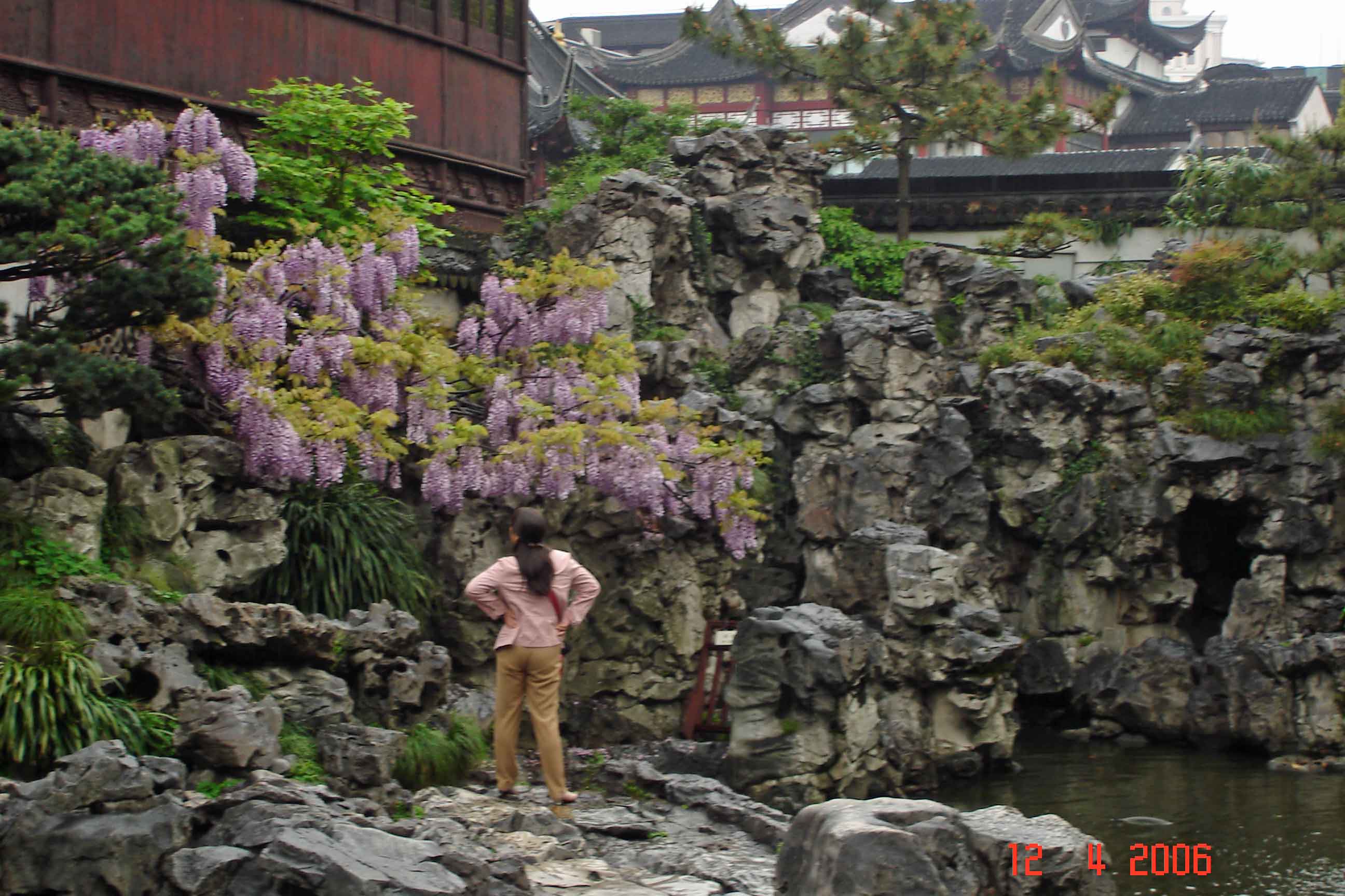 Yu-Garden---huge-Rockery-with wisteria