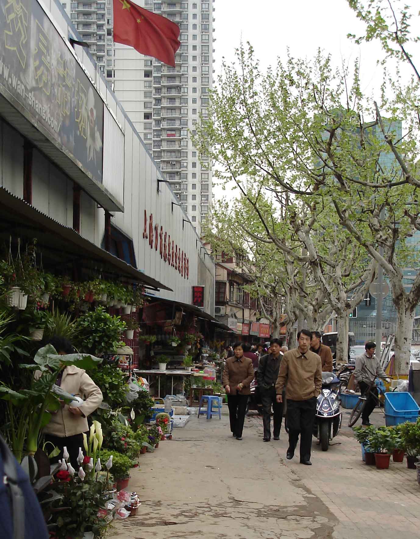 Flower-bird-market-Chinese-Old 