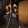 Hakutsuru Sake Brewery Museum and Brewery- Kobe Japan