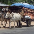 Potters Pots and Pottery – the Province of Chhnang-Cambodia