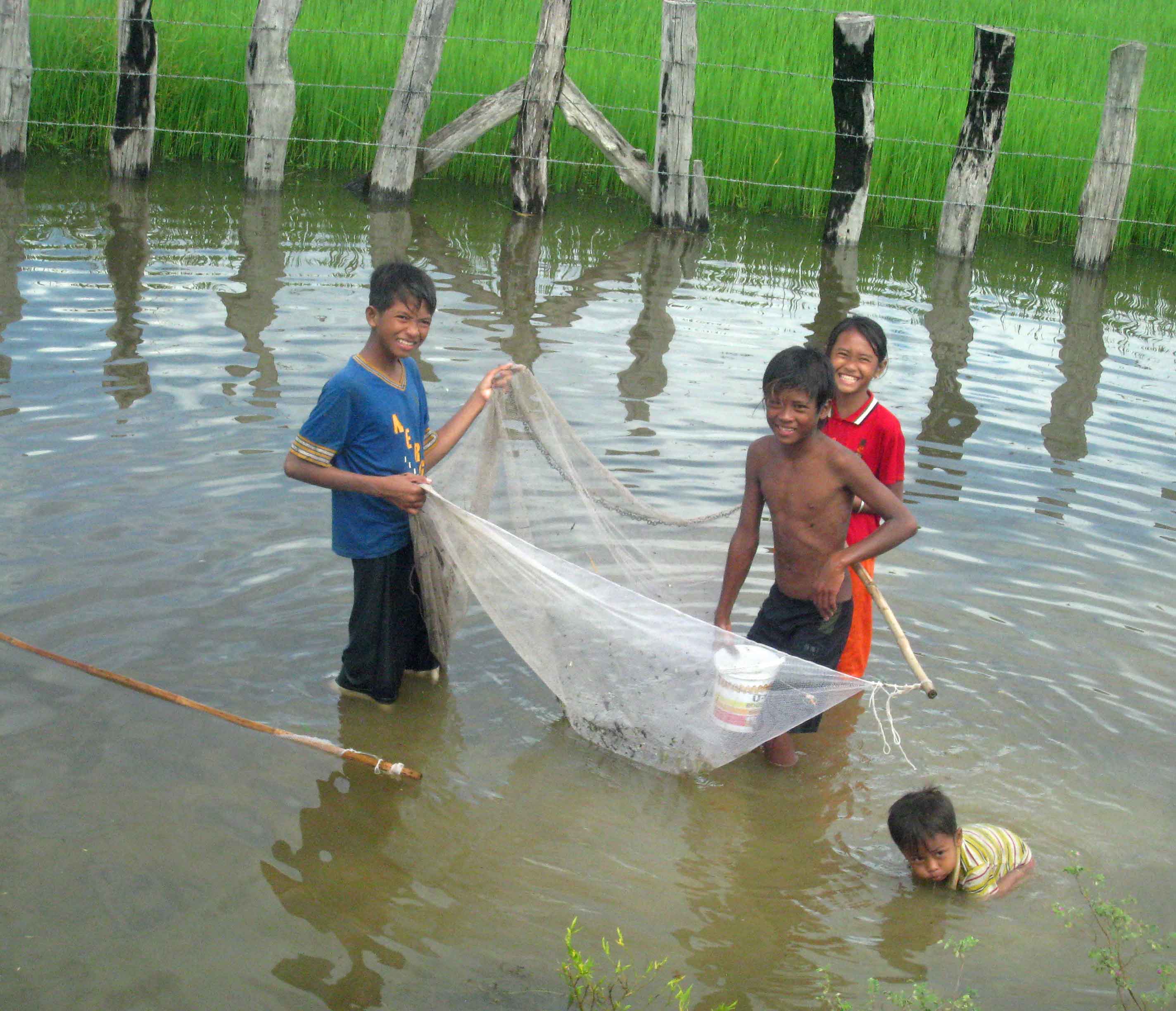Young boys net fishing-Battambang Province rural countryside