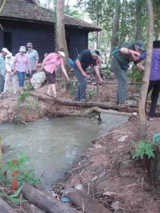 Fast flowing stream after rain Angkor Siem Reap