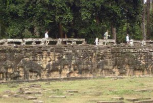 Elephant Terrace - Royal Green Square 