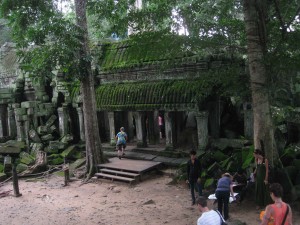 Gallery roof tiles covered in bright green moss, thick and fur like