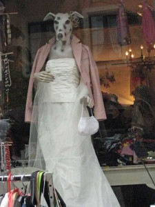 Model-in-shop-window-Konsta