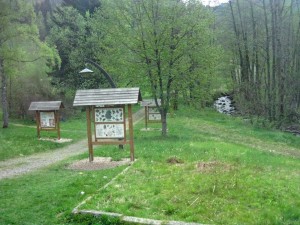 Triburg town -walking-Tracks through the forest