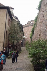 Entrance-Castle-Walls-Heidelberg castle Heidelberg