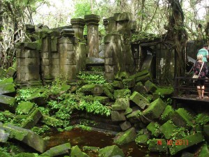 Brigt green moss and plants - Blue Ruin Beng Mealea Siem Reap