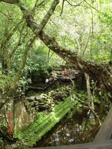 Boardwalks - 'Blue Ruin' Beng Mealea