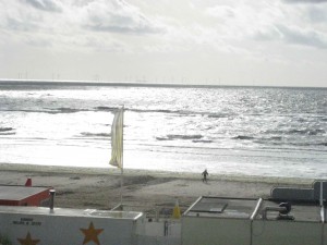 The Beach - Zeester Pavilion Egmond Nederlands