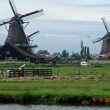 Zaanse Schans – Color Windmill|Clog Factory Holland