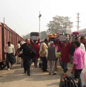 Railway Station,New Delhi,rats