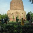 Deer Park|Sarnath|Sarnath Museum