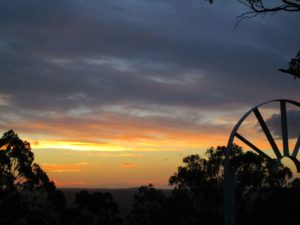 Wallaby - Toowoomba Darling Downs