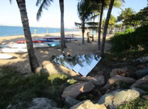 On the Strand - strand ephemera-Tropical Townsville